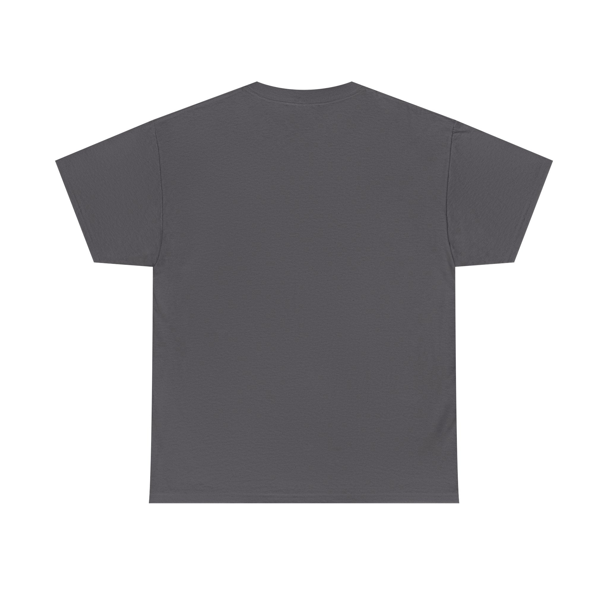 Unity In Every Color T-Shirt — Rainbow Pride Equality Tee