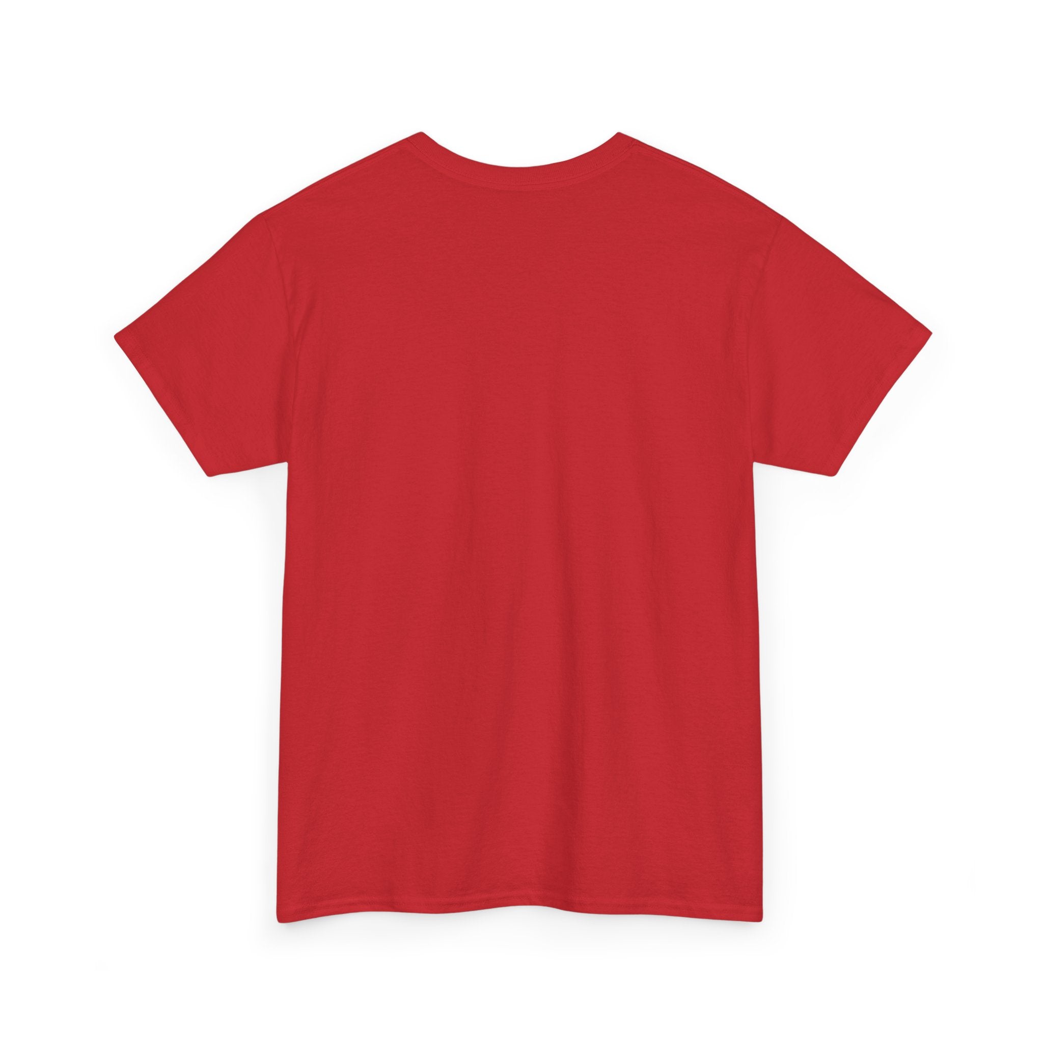 Unity In Every Color T-Shirt — Rainbow Pride Equality Tee