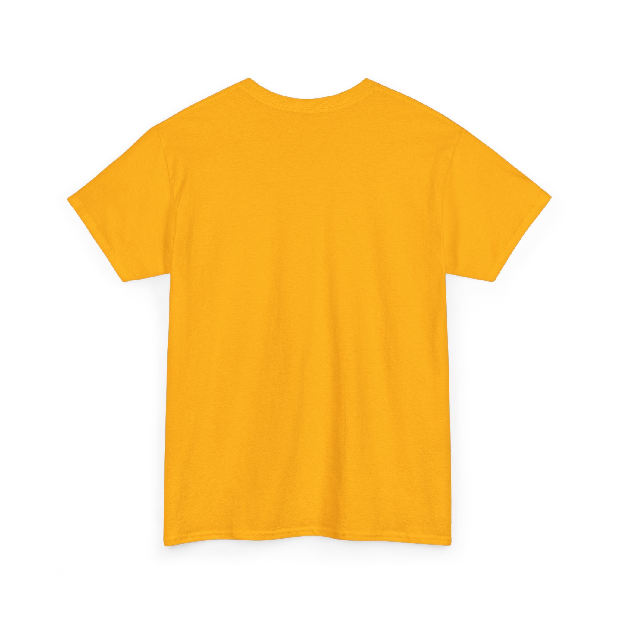 Unity In Every Color T-Shirt — Rainbow Pride Equality Tee